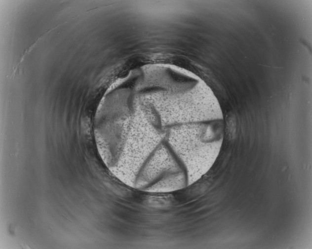 X0000102780571200809151105