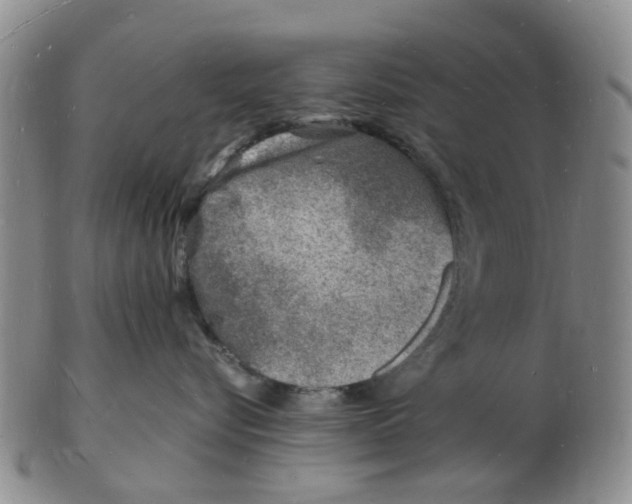 X0000102780576200809151105