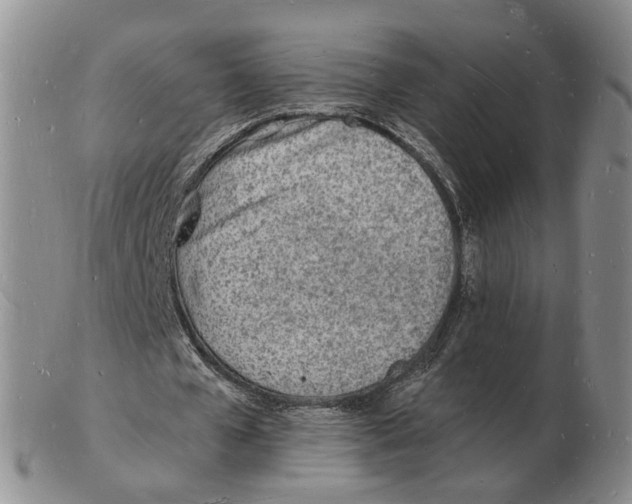 X0000102780577200809151105