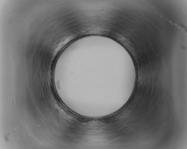 X0000102780578200809151105