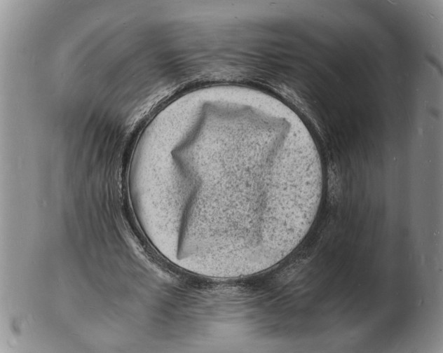 X0000102780581200809151105