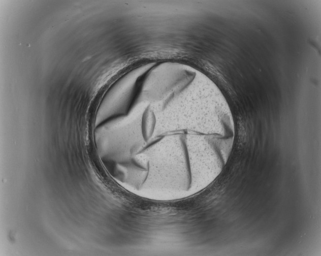 X0000102780582200809151105