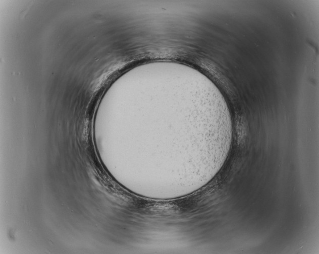 X0000102780583200809151105