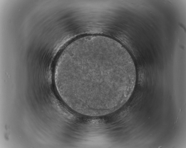 X0000102780584200809151104