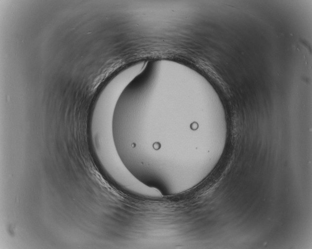 X0000102780585200809151104