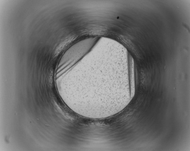 X0000102780586200809151104