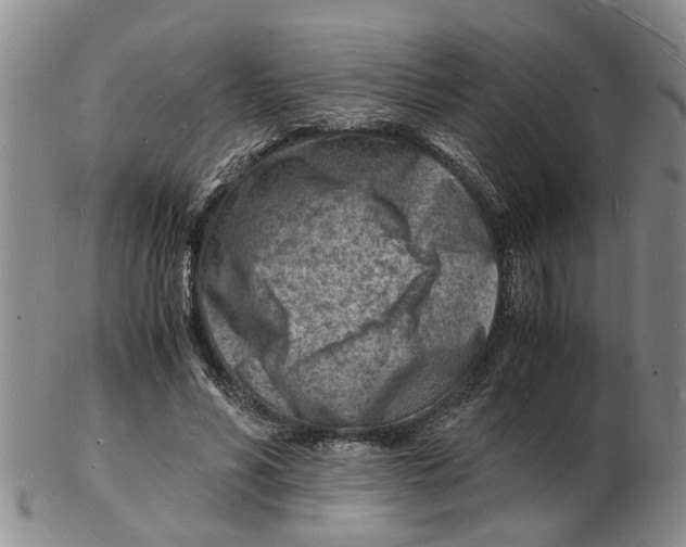 X0000102780590200809151104