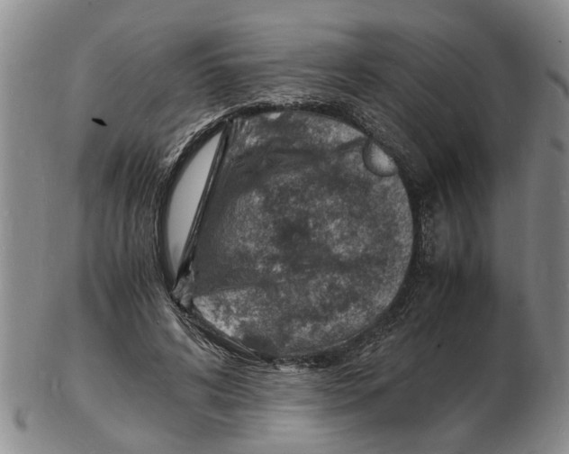 X0000102780592200809151104