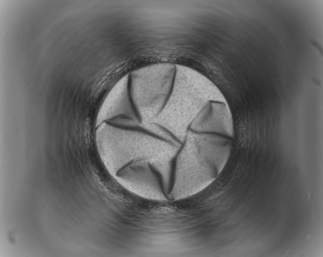 X0000102780594200809151104