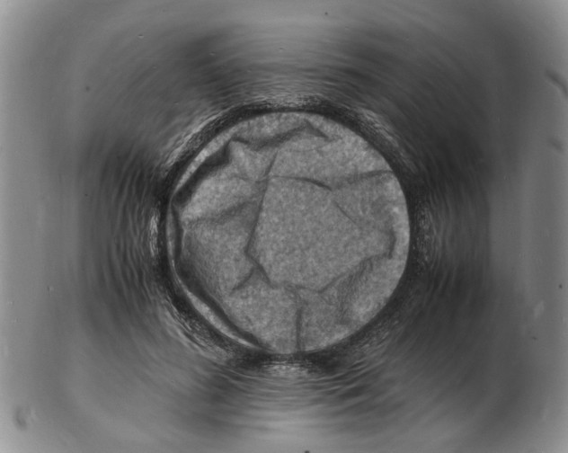 X0000102780596200809151104