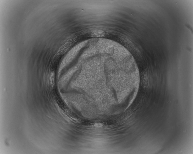 X0000102780598200809151104