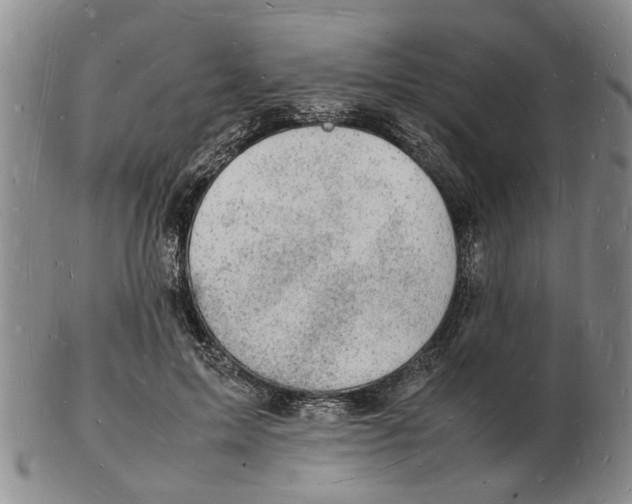 X0000102780599200809151104