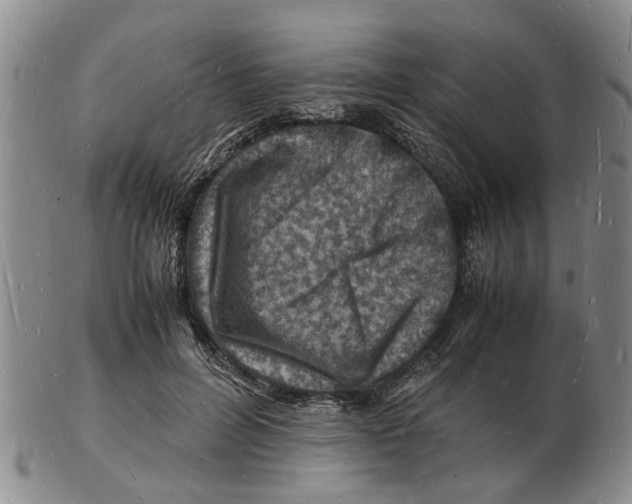 X0000102780600200809151104