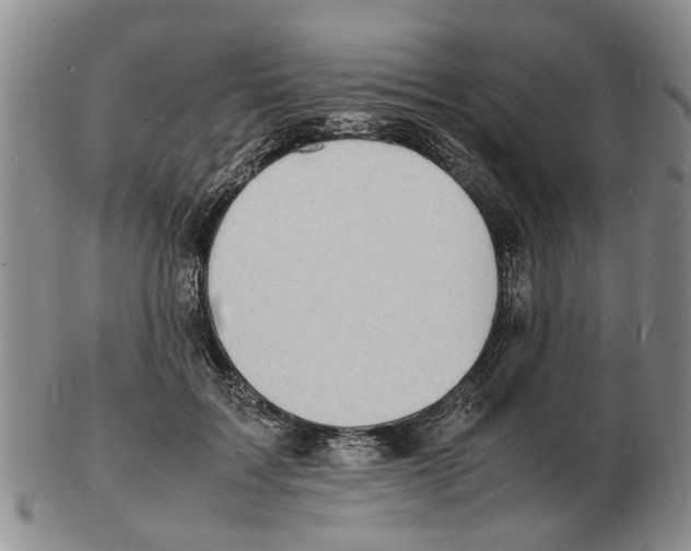 X0000102780603200809151104