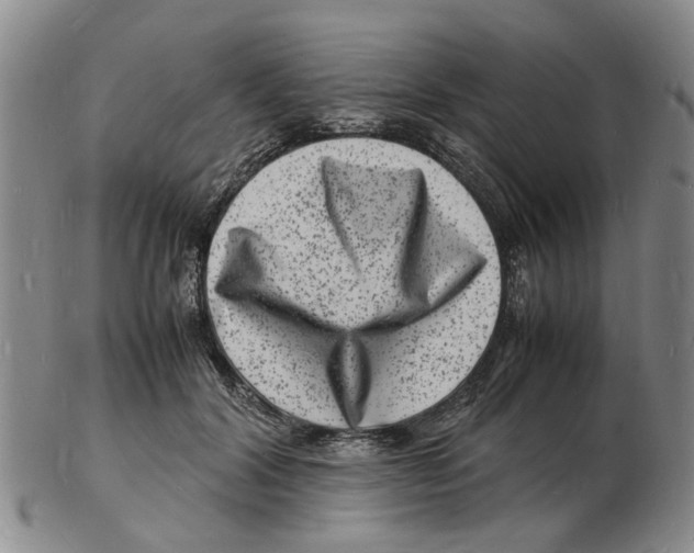 X0000102780604200809151104