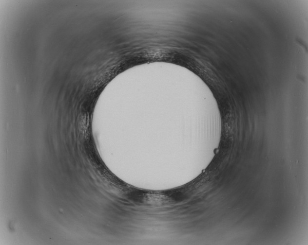 X0000102780605200809151104