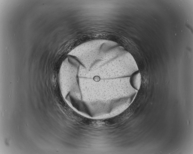 X0000102780607200809151104