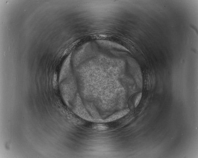 X0000102780610200809151104