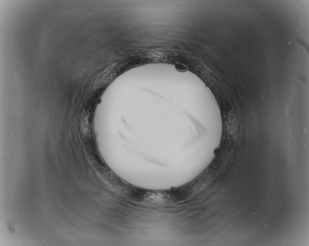 X0000102780611200809151104