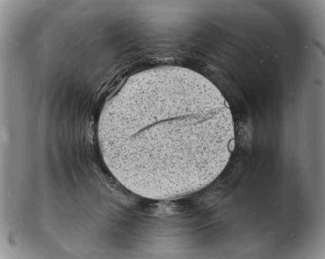 X0000102780612200809151104