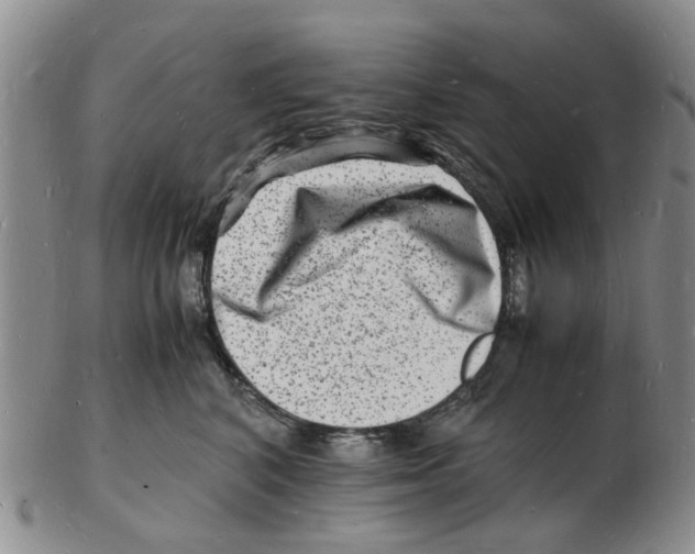 X0000102780616200809151104