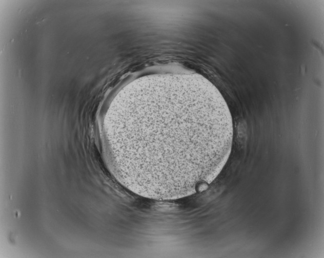 X0000102780617200809151104