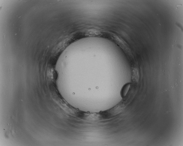 X0000102780621200809151104