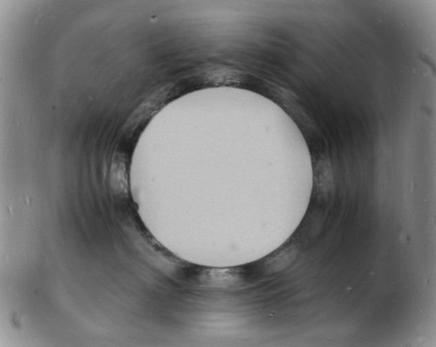 X0000102780622200809151104