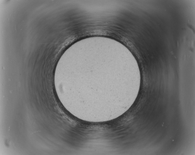 X0000102780625200809151103