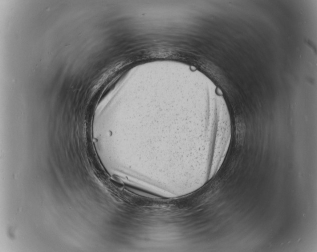 X0000102780626200809151103