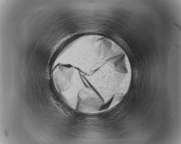 X0000102780628200809151103