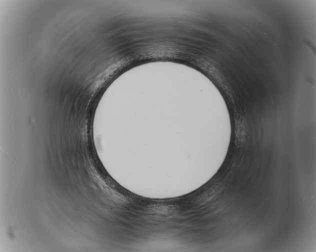 X0000102780629200809151103