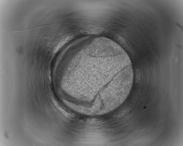 X0000102780634200809151103