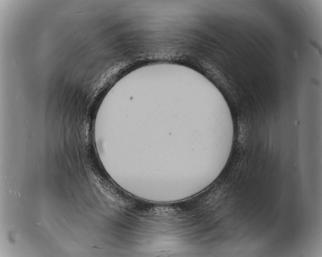 X0000102780636200809151103