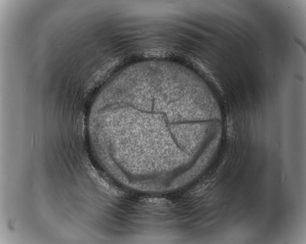 X0000102780637200809151103