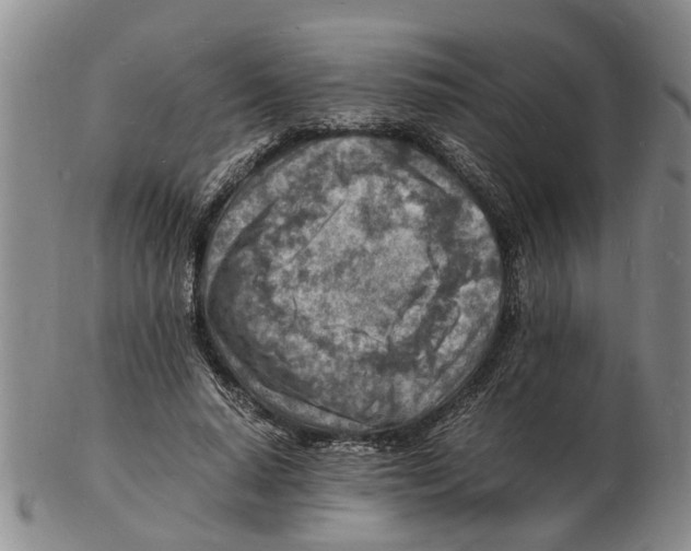 X0000102780640200809151103