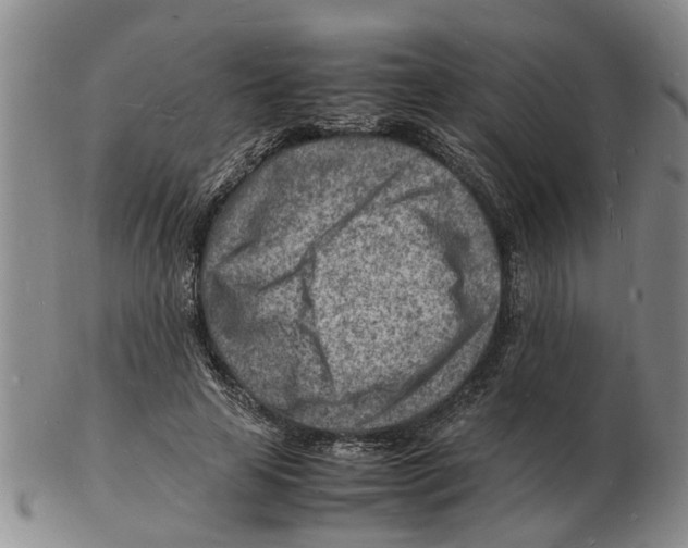 X0000102780641200809151104