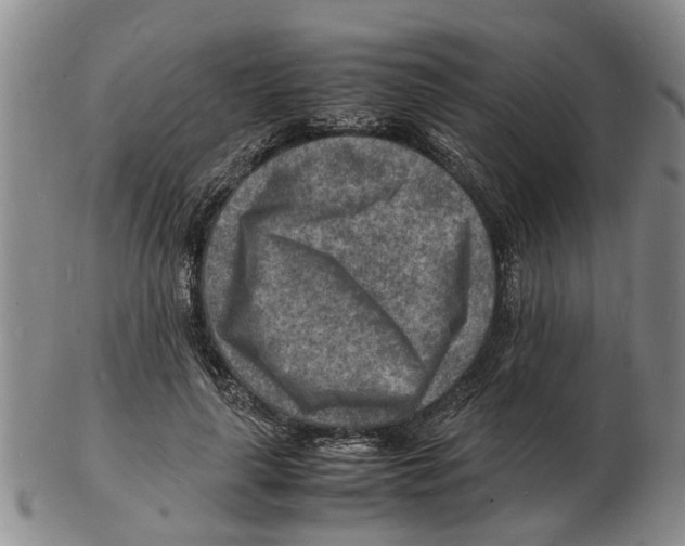 X0000102780643200809151104