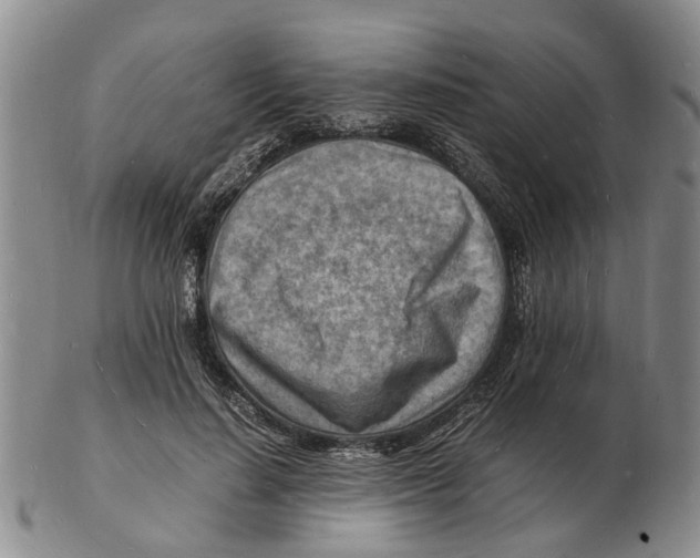 X0000102780644200809151104