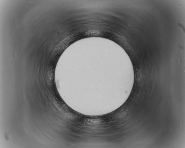 X0000102780645200809151104