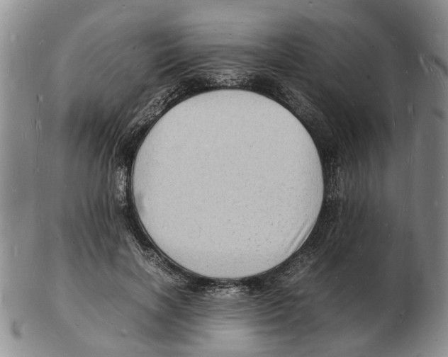 X0000102780646200809151104