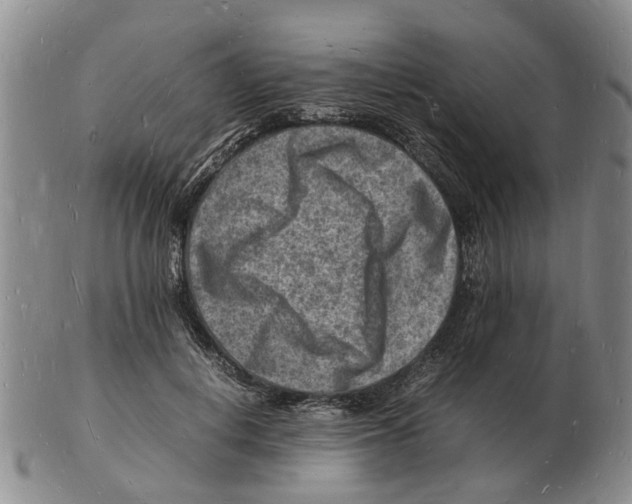 X0000102780648200809151104