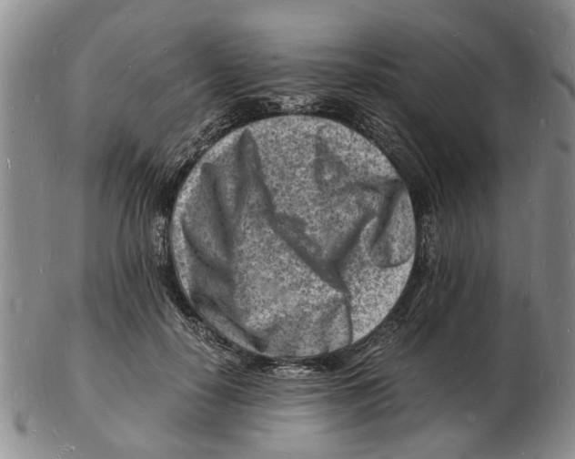 X0000102780650200809151104