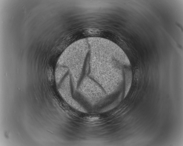 X0000102780651200809151104