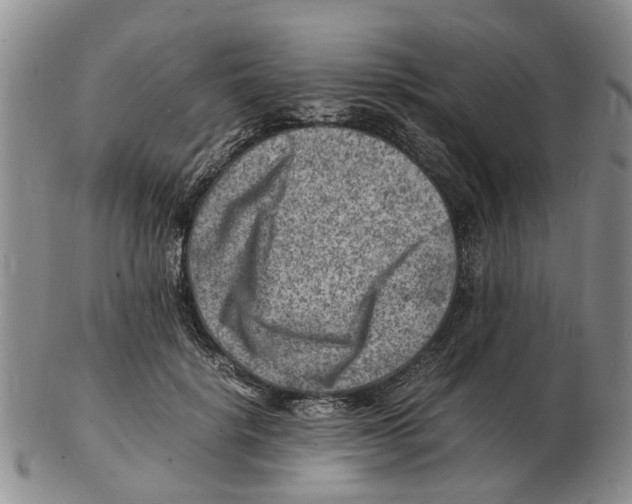 X0000102780652200809151104