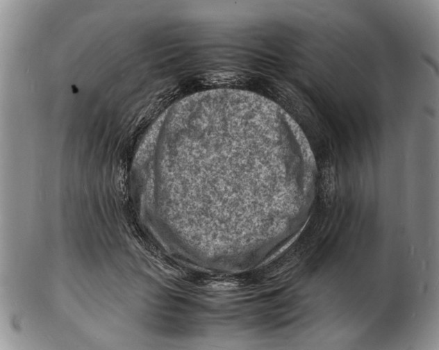 X0000102780653200809151104