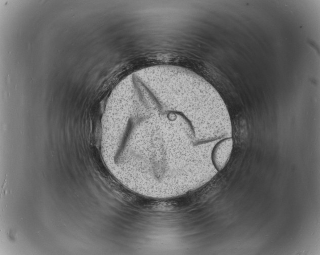 X0000102780656200809151104