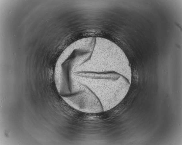 X0000102780657200809151104