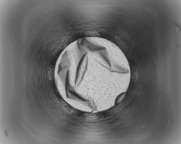 X0000102780658200809151104