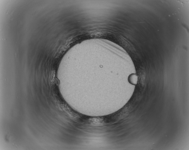 X0000102780660200809151104